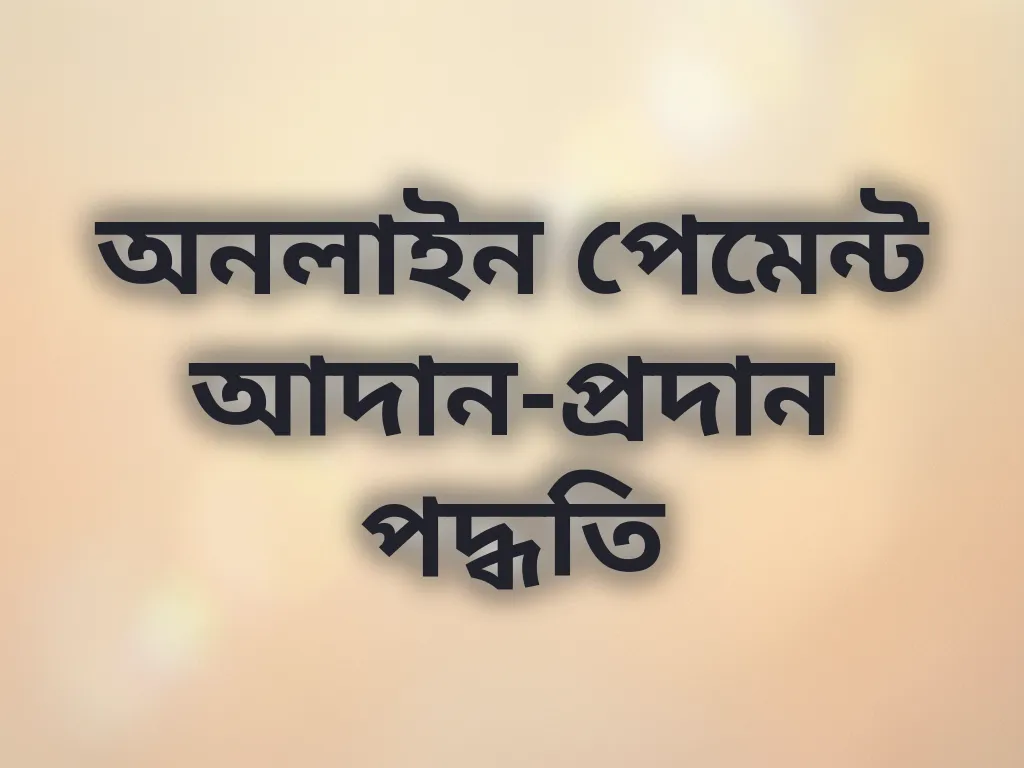 পেমেন্ট ফ্লো গাইড